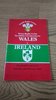 Wales v Ireland 1989 Rugby Programme