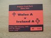 Wales A v Ireland A 1999 Used Rugby Ticket
