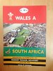 Wales A v South Africa 1994