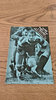 Cardiff v Swansea Apr 1985 Rugby Programme