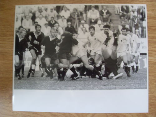 Currie Cup 'B' Section v England 1984 Original Rugby Press Photograph