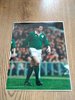 Anthony Foley - Ireland Original Rugby Press Photograph
