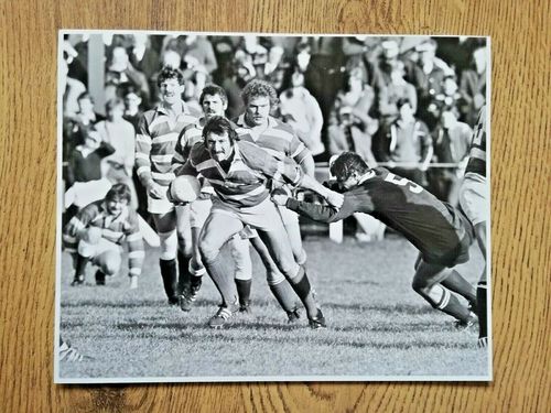 Tom David - Wales Original Rugby Press Photograph