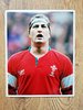 Emyr Lewis - Wales Rugby Original Press Photograph