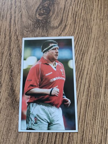 David Young - Wales on Sunday 'Lions 2001' Rugby Trading Card